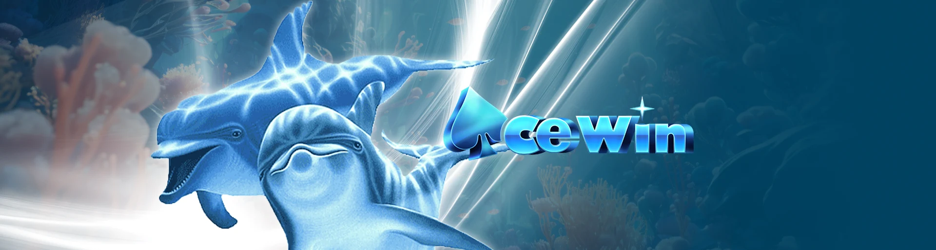 Acewin — Winbox