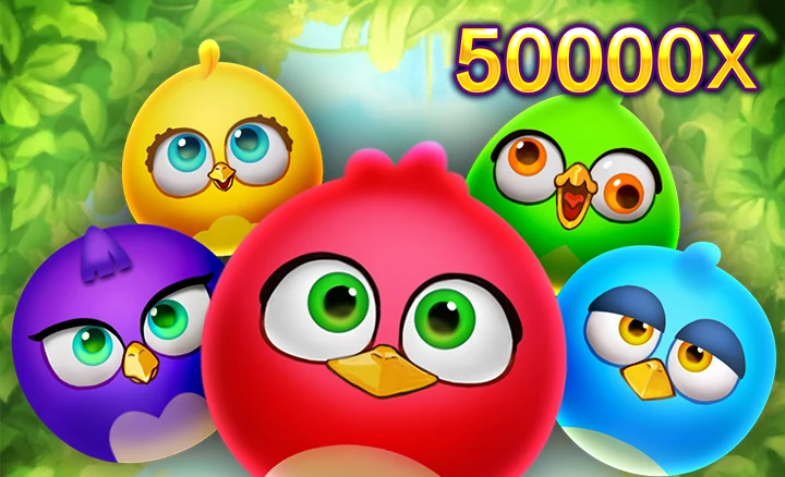 Birds Party