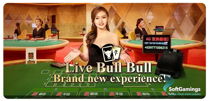 Bull Bull