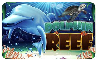dolphin reef