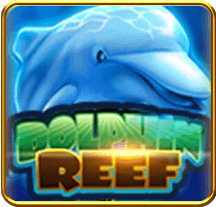 Dolphin Reef